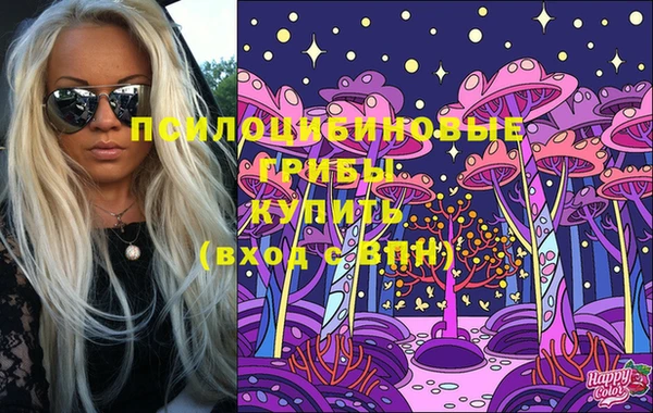 твердый Зеленокумск