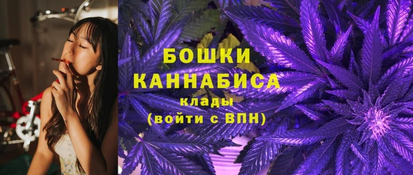 стафф Зеленодольск