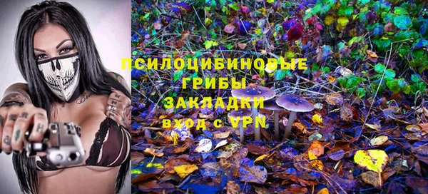 стафф Зеленодольск