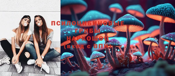 молекула духа Зерноград