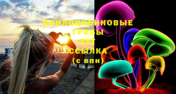 молекула духа Зерноград