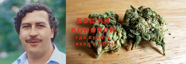 молекула духа Зерноград