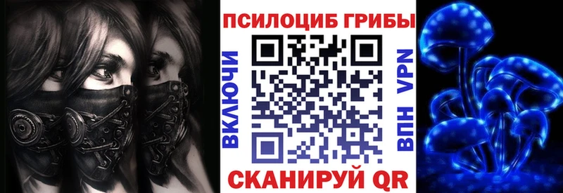 Купить  Сольцы  Псилоцибиновые грибы Psilocybine cubensis 